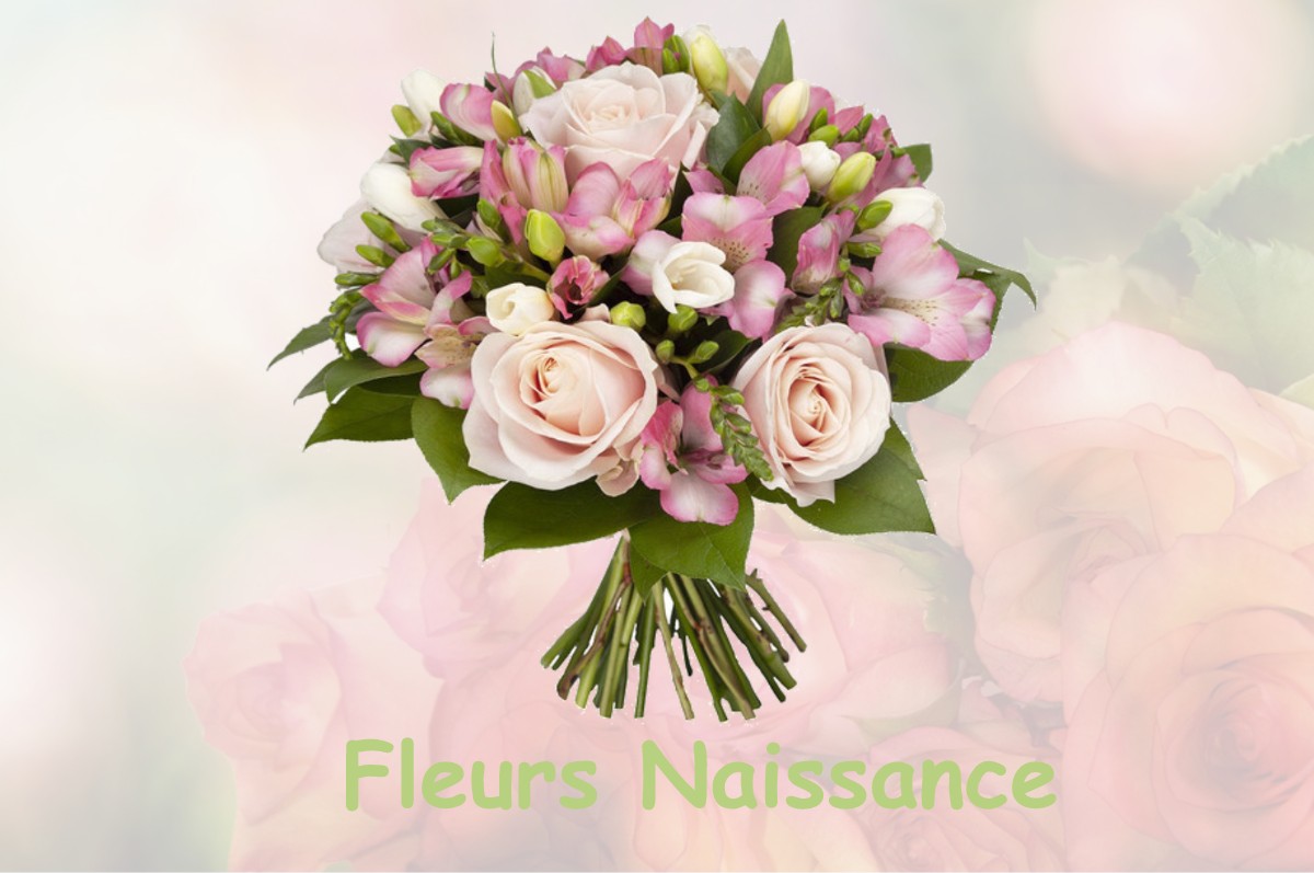 fleurs naissance MESNIL-SAINT-NICAISE