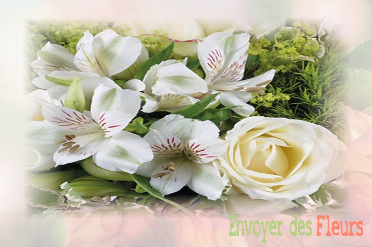 envoyer des fleurs à à MESNIL-SAINT-NICAISE